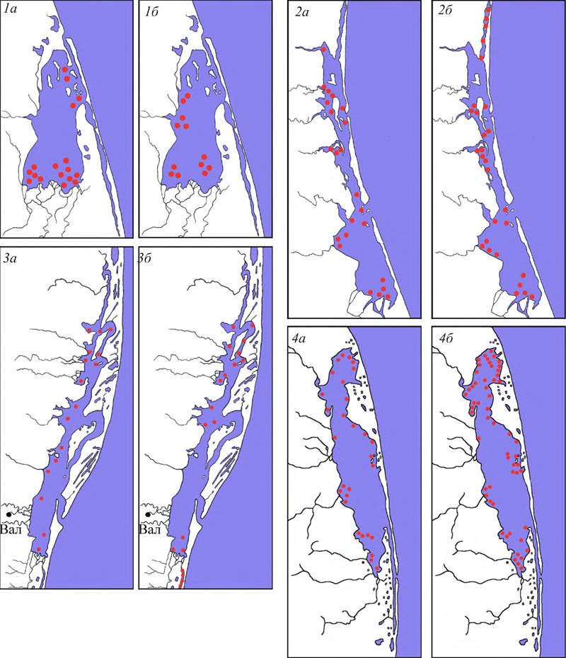 Расположение скоплений лебедей в период весенней (а) и осенней (б) миграций на заливах Набильский (1), Ныйский (2), Чайво (3), Пильтун (4)