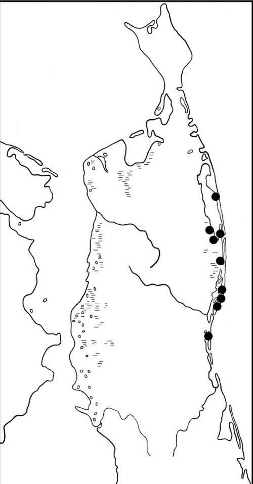 Места находок гнёзд и выводков морской чернети на Северном Сахалине
