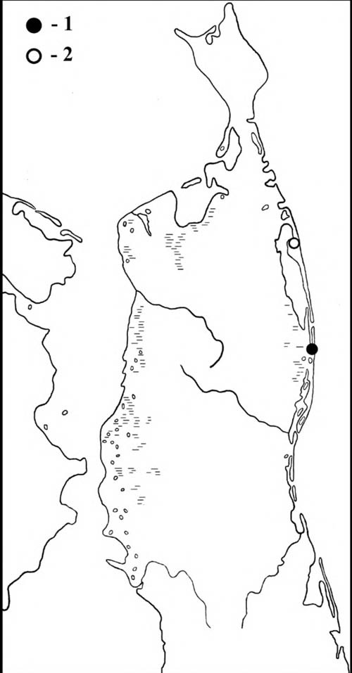 Места встреч гаги-гребенушки (1) и сибирской гаги (2) на Северном Сахалине
