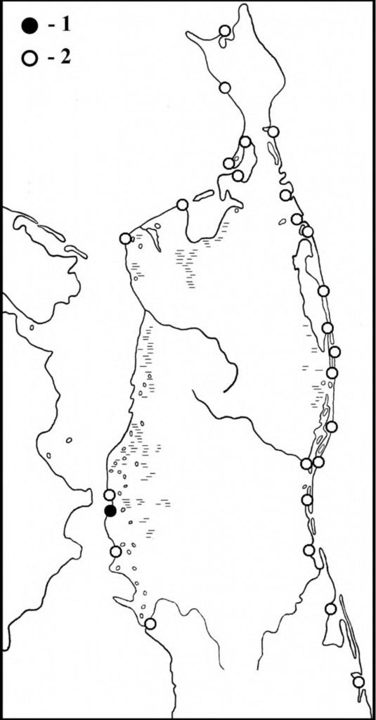 Места встреч уссурийского (1) и монгольских (2) зуйков в период сезонных перемещений на Северном Сахалине
