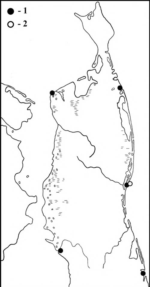 Места встреч лопатней (1) и куликов-воробьёв (2) на Северном Сахалине