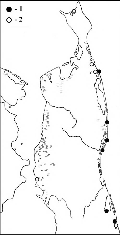 Места встреч белохвостых песочников (1) и краснозобиков (2) на Северном Сахалине