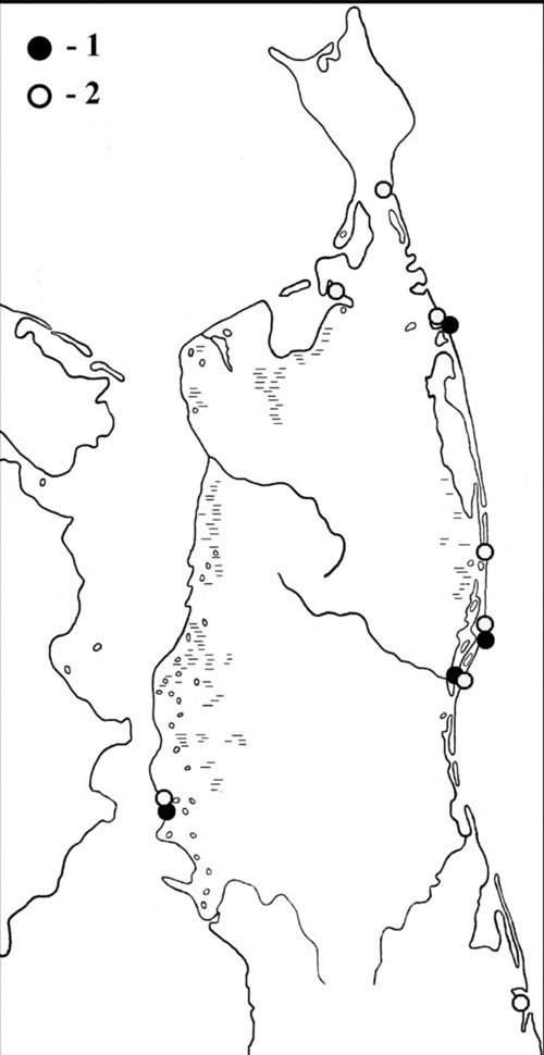 Места встреч исландских песочников в период весенней (1) и летне-осенней (2) миграции на Северном Сахалине
