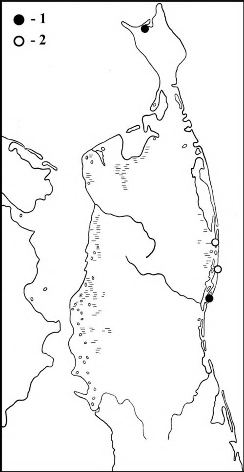 Места встреч кроншнепов-малюток (1) и больших кроншнепов (2) на Северном Сахалине