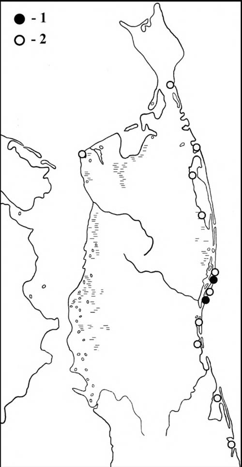 Места встреч дальневосточных кроншнепов в период весенней (1) и летне-осенней (2) миграции на Северном Сахалине