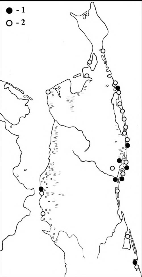 Места встреч средних кроншнепов в период весенней (1) и летне-осенней (2) миграции на Северном Сахалине