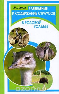Разведение и содержание страусов в родовой усадьбе