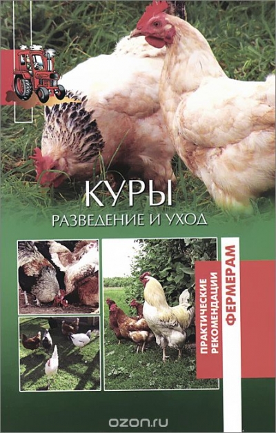 Куры. Разведение и уход