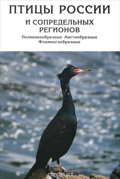Птицы России и сопредельных регионов. Пеликанообразные, Аистообразные, Фламингообразные