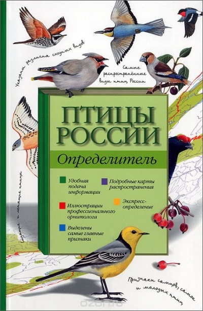 Птицы Ленинградской Области Фото И Названия Определитель