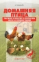 Домашняя птица. Содержание и разведение на приусадебном участке и в городских условиях